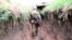 Ukrainian Troops Patrol Trenches on Donetsk Frontline 