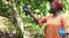 Ghanaian Farmers Look for Organic Alternatives as Russian Fertilizer Costs Skyrocket