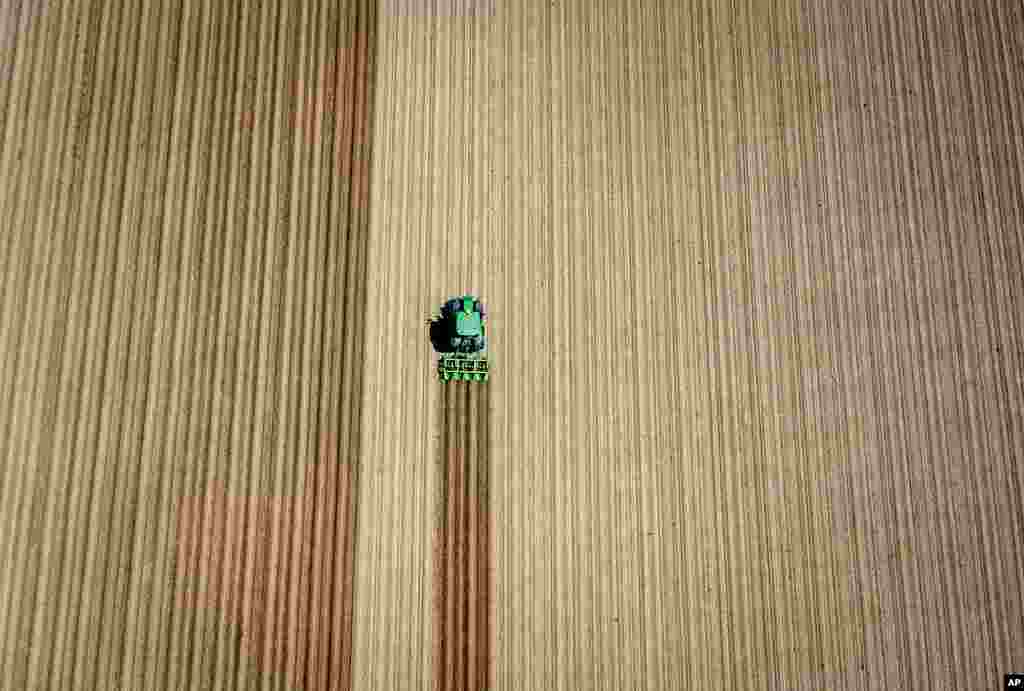 A farmer drives his tractor over a field in Wehrheim near Frankfurt, Germany.