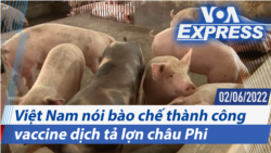 Việt Nam nói bào chế thành công vaccine dịch tả lợn châu Phi | Truyền hình VOA 2/6/22