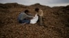 People sort and collect discarded potatoes beside a road near Makariv, on the outskirts of Kyiv, Ukraine, May 27, 2022. 