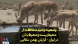 وضعیت وخیم محافظت از محیط‌ زیست و محیط‌بانان در ایران - گزارش بهمن سقایی