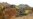 Cameroonian Villagers Protest China Iron Ore Mining Deal