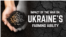 Impact of the War on Ukraine's Farming Capacity