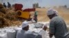 FILE - Farmers bag wheat on a farm in the Nile Delta province of al-Sharqia, Egypt, May 11, 2022. Egypt is trying to increase its domestic wheat production as the war in Ukraine has strained international supplies of the grain. 