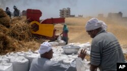 FILE - Farmers bag wheat on a farm in the Nile Delta province of al-Sharqia, Egypt, May 11, 2022. Egypt is trying to increase its domestic wheat production as the war in Ukraine has strained international supplies of the grain. 