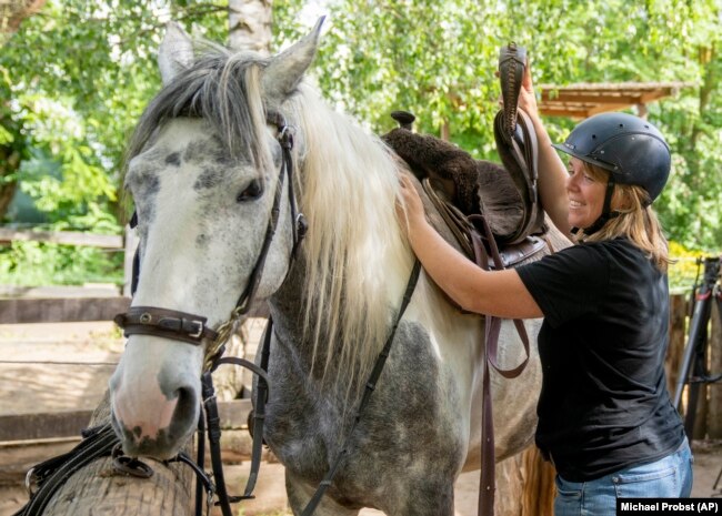 Horse farmer Stephanie Kirchner prepares her horse at a small stud farm near Limburg, Germany, May 19, 2022. (AP Photo/Michael Probst)