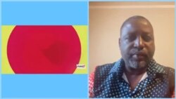 LiveTalk Diaspora Forum Chivabvu 25, 2022