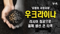 ‘유럽의 곡창지대’ 우크라이나, 러시아 침공으로 올해 생산 큰 타격
