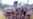China’s Illegal Rosewood Trade with Mali Under Scrutiny