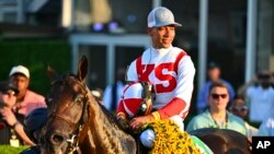 Jose Ortiz, atop Early Voting, parades in the winner's circle after winning the 147th running of the Preakness Stakes horse race at Pimlico Race Course, May 21, 2022, in Baltimore.