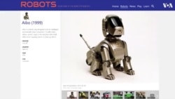 Робот-гепард: эволюция четвероногих роботов в США 