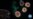 16x9 Image