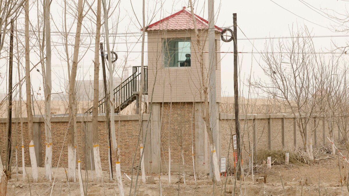 Calls for Investigation Mount Over Xinjiang Police Files - Vimarsana News