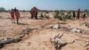 FILE - People stand next to the carcasses of dead sheep in the village of Hargududo, 80 kilometers from the city of Gode, Ethiopia, April 07, 2022. 
