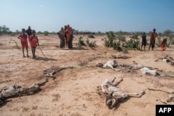FILE - People stand next to the carcasses of dead sheep in the village of Hargududo, 80 kilometers from the city of Gode, Ethiopia, April 7, 2022.