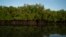 FILE - The mangroves of the Gambia river in Serrekunda, Gambia. Taken 9.26.2021