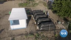 Zimbabwe Refugee Camp Goes Green With Animal Waste