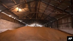 FILE - A wheat warehouse belonging to Ivan Kilgan, head of the regional agricultural association village, in Luky village, in western Ukraine, on March 25, 2022.