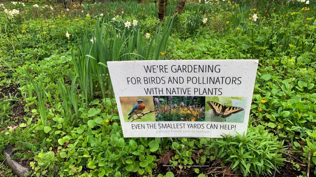 Book Invites Children to Turn Native Gardens into National Park