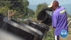 Zimbabwe Refugee Camp Goes Green with Animal Waste