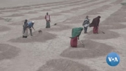 Persistent Drought in Ethiopia an Example of Climate Change, Experts Say
