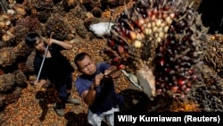 Pekerja memuat tandan kelapa sawit untuk diangkut ke pabrik CPO di Pekanbaru, Riau, 27 April 2022. (Foto: REUTERS/Willy Kurniawan)