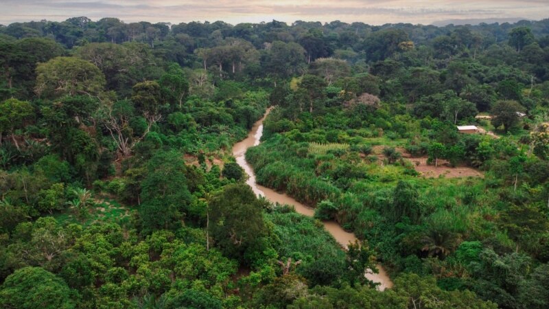 Cameroun: un avion s'écrase en forêt avec 11 personnes à bord