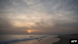 A seagull flies over the beach at the Donana Natural Park in Matalascanas, Huelva, on May 19, 2022.