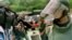 ARCHIVO. Un ingeniero de combate (derecha) muestra a la prensa una mina antipersonal encontrada durante una operación de desminado patrocinada por la Organización de los Estados Americanos (OEA) el 22 de agosto de 2000 en San Marcos de Colón, Honduras.