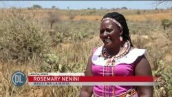 Kenya: Wafugaji wa Laikipia wakabiliwa na uvamizi wa mmea unaoharibu malisho ya wanyama