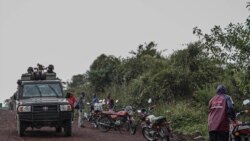 L'ONU confirme des attaques de l'armée rwandaise en RD Congo
