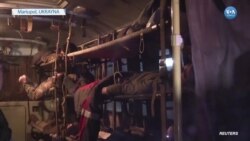 Mariupol’dan 264 Yaralı Asker Tahliye Edildi