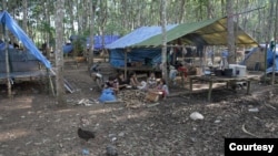 Farmworkers separate cotton from the stems, in an IDP camp on the Thai-Myanmar border. (Steve Sandford/Asiareports)