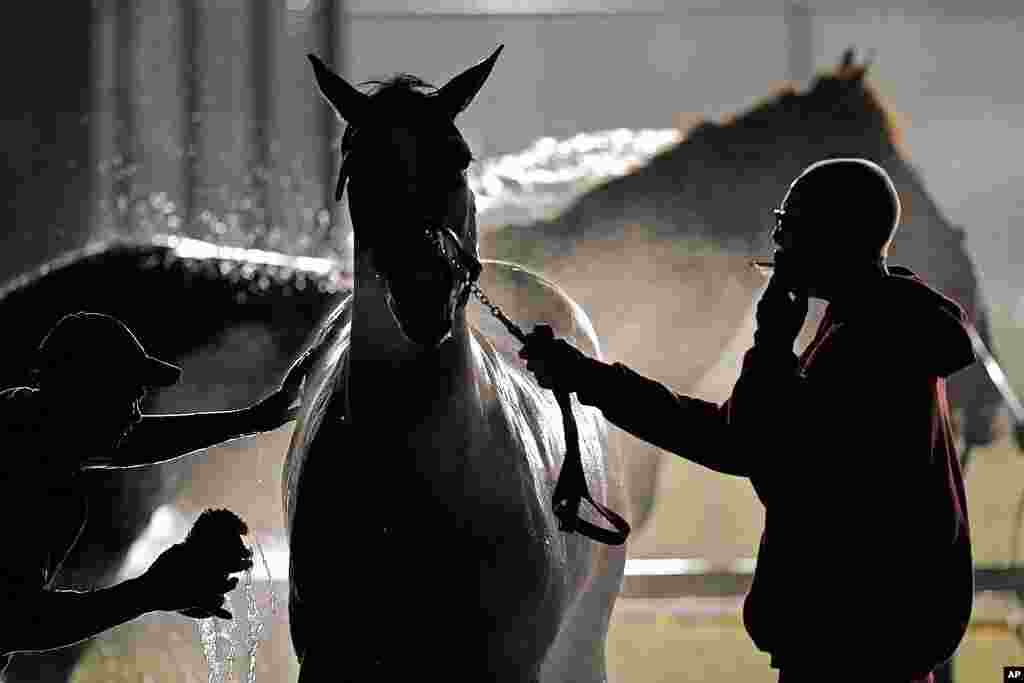 A horse gets a bath after an early morning workout at Churchill Downs, in Louisville, Ky. The 148th running of the Kentucky Derby is scheduled for May 7.