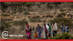 Africa 54: Tigrayans Flee Hunger, WHO Convenes In-person & BAL Highlights 
