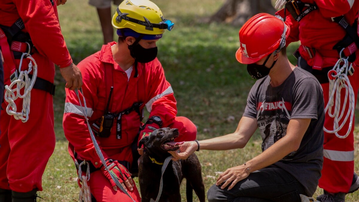 Havana Hotel Death Toll at 31 as Dogs Search for Survivors - Vimarsana News