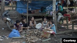 Farmworkers separate cotton from the stems, in an IDP camp on the Thai-Myanmar border. (Steve Sandford/Asiareports)