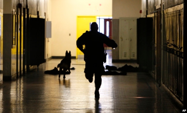 In this April 11, 2010 photo, Detroit Public Schools K9 officer John Greene and his dog Nitro run through a hallway. (AP Photo/Carlos Osorio)