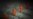 N. Korea Moves to Soften Curbs amid Doubts over COVID Counts
