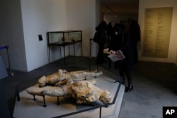 بقایای دو تن از قربانیان پمپئی در موزه پمپئی، ایتالیا - آرشیو