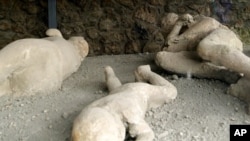 اجساد سنگ شده قربانیان آتشفشان وزوو در شهر پمپئی - آرشیو
