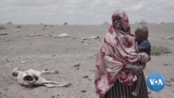 Horn of Africa Drought Leaves Ethiopians Hungry