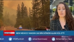 New Mexico Yangını 260 Bin Dönüm Alanı Kül Etti