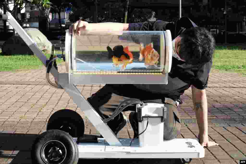 Jerry Huang, fish enthusiast, is seen with his fish tank trolley at a park in Taichung, central Taiwan.