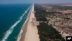 FILE - Filao trees form a curtain that protects the beginning of the Great Green Wall, planted to slow coastal erosion along the Atlantic Ocean, in Lompoul village near Kebemer, Senegal, Nov. 5, 2021. (AP Photo/Leo Correa, File)