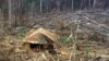 Foto de archivo que muestra a los indios yanomami fuera de su cabaña en la selva amazónica después delsofocado un incendio, en el estado norteño de Roraima. [Foro: Reuters]
