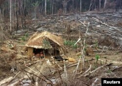 Suku Indian Yanomami di luar pondok hutan Amazon mereka di negara bagian utara Roraima pada 16 Maret 1998.(Foto: Reuters)