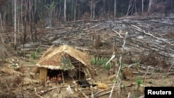 Foto de archivo que muestra a los indios yanomami fuera de su cabaña en la selva amazónica después delsofocado un incendio, en el estado norteño de Roraima. [Foro: Reuters]