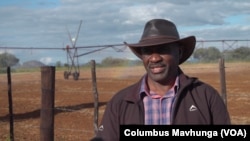 Ephraim Pasipanodya will increase his farm's production of wheat, a key crop in Zimbabwe.